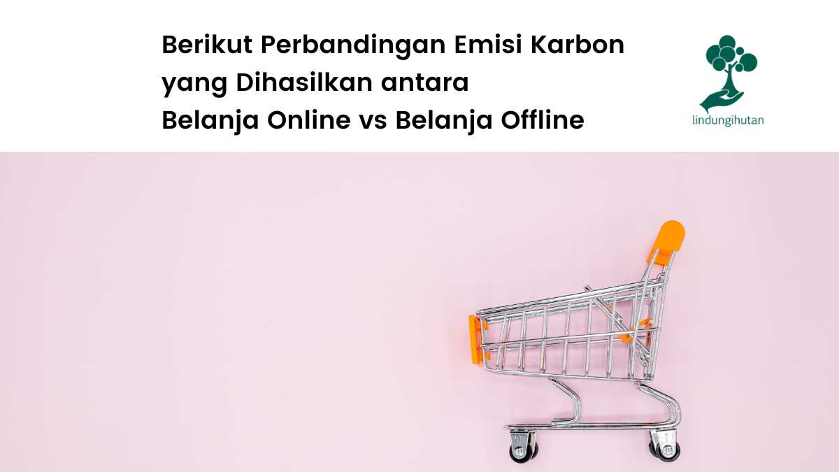 Emisi karbon belanja online.