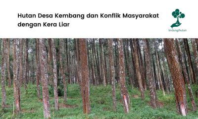 Hutan Desa Kembang Wonogiri