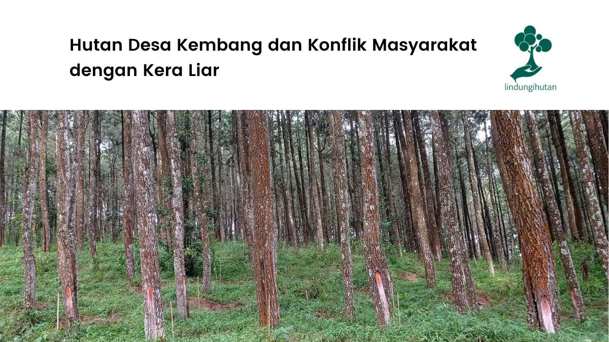 Hutan Desa Kembang Wonogiri