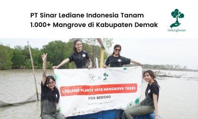 PT Sinar Lediane Indonesia