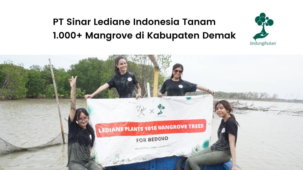 PT Sinar Lediane Indonesia