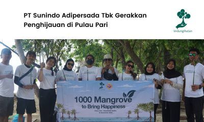 PT Sunindo Adipersada Tbk Tanam 1.000 Mangrove di Kepulauan Seribu
