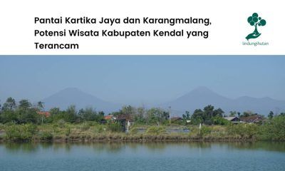 Lokasi penanaman mangrove LindungiHutan di Pantai Kartika Jaya