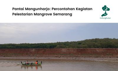 Lokasi penanaman LindungiHutan di Pantai Mangunharjo