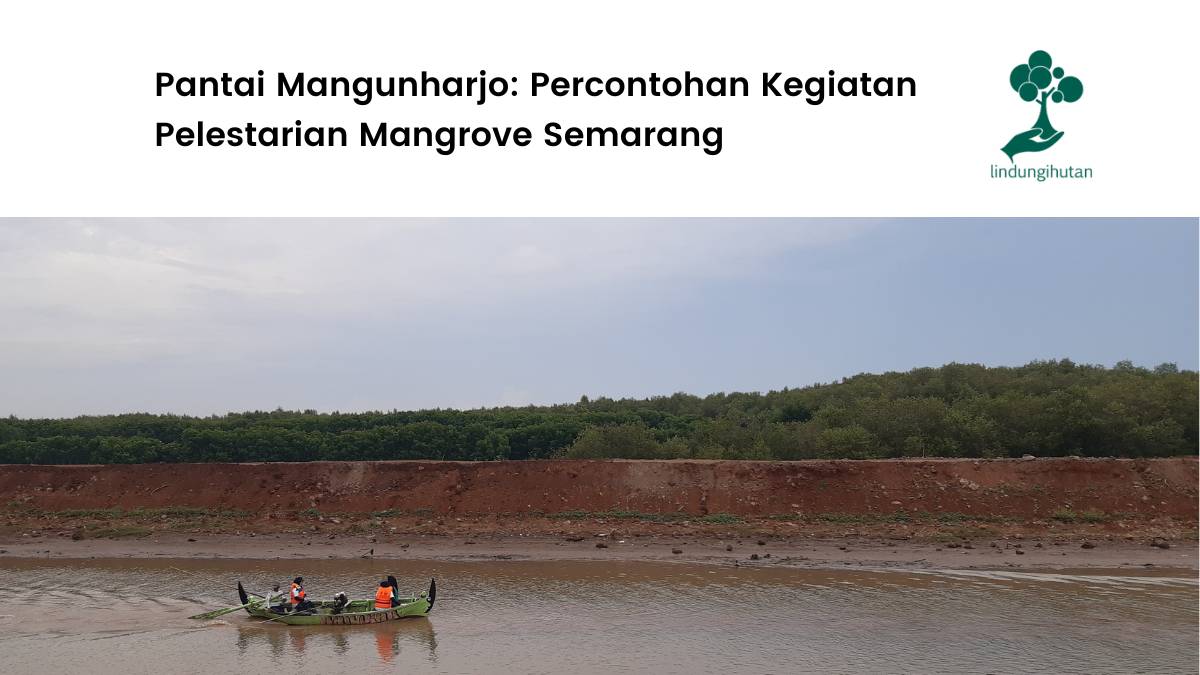 Lokasi penanaman LindungiHutan di Pantai Mangunharjo