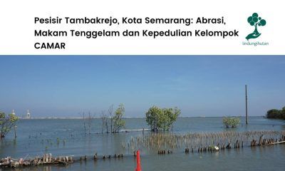 Pesisisir Tambakrejo Semarang