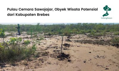 Pulau Cemara Sawojajar Kabupaten Brebes