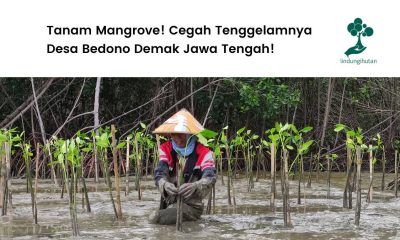 Kondisi Desa Bedono Demak