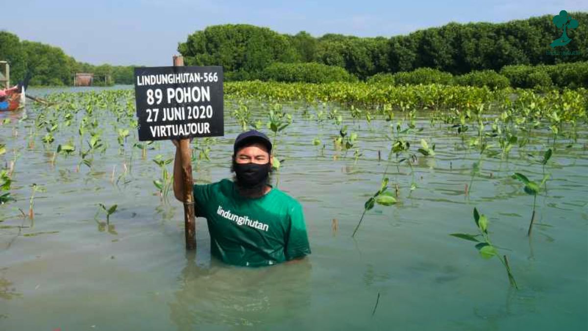 ceo lindungihutan