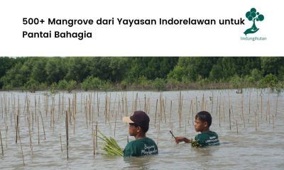 Aksi Indorelawan Gerakkan Penghijauan di Kabupaten Bekasi