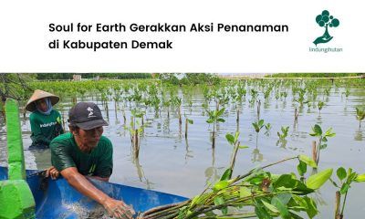 Aksi penghijauan Soul for Earth di Desa Bedono