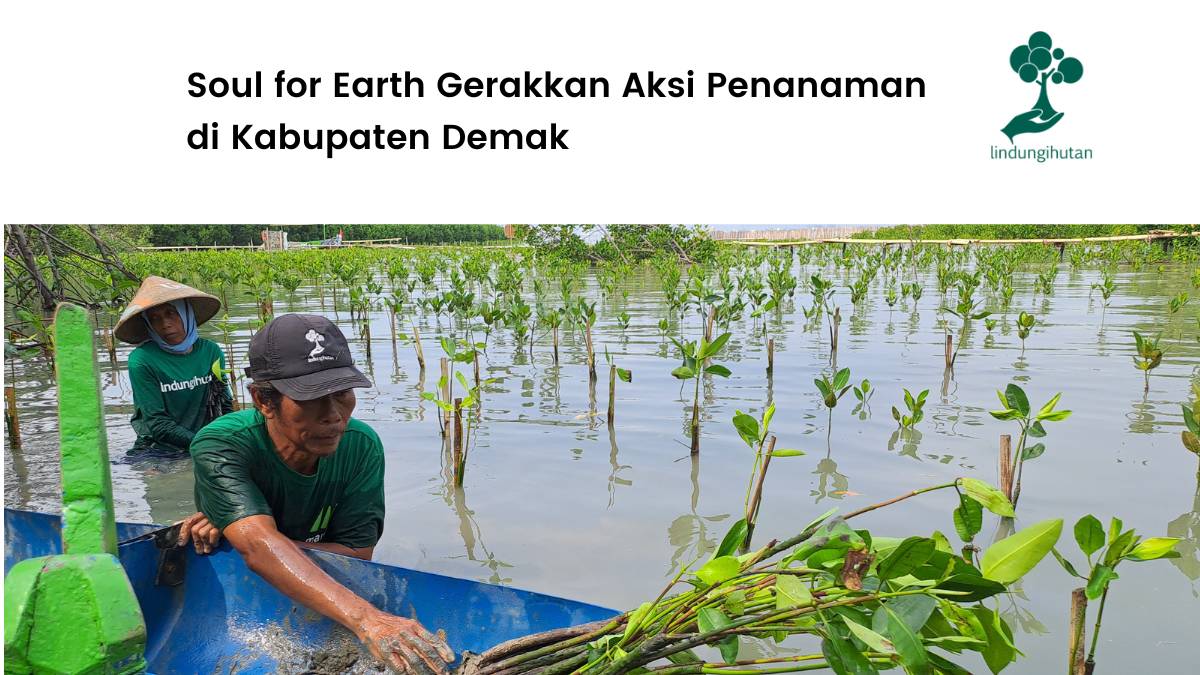 Aksi penghijauan Soul for Earth di Desa Bedono