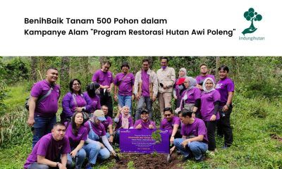 BenihBaik tanam pohon