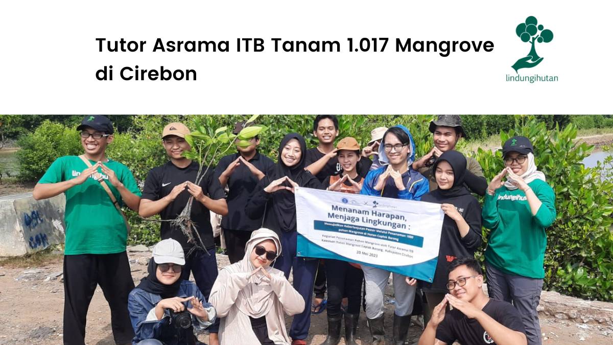 Tutor asrama ITB jalankan aksi penghijauan