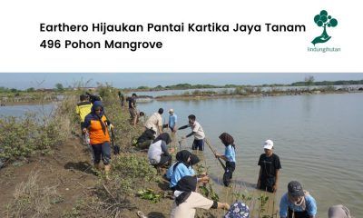 Earthero hijaukan Pantai Kartika Jaya