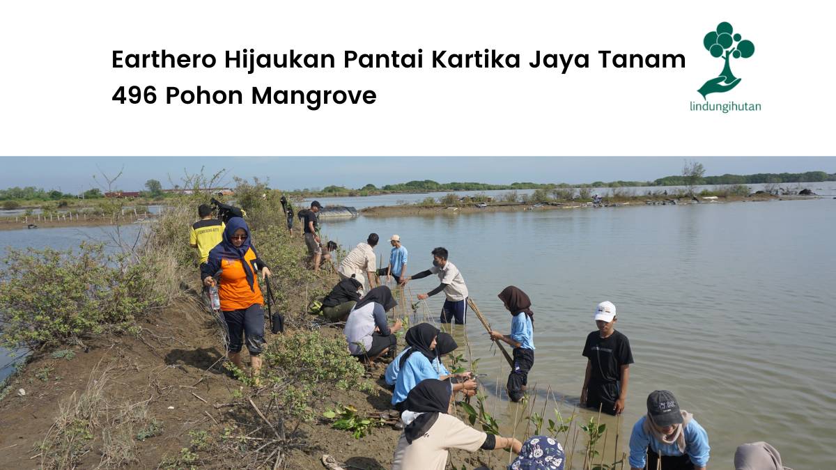 Earthero hijaukan Pantai Kartika Jaya