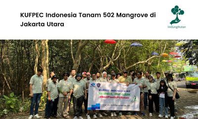 KUFPEC Indonesia Tanam 502 Mangrove di Jakarta Utara