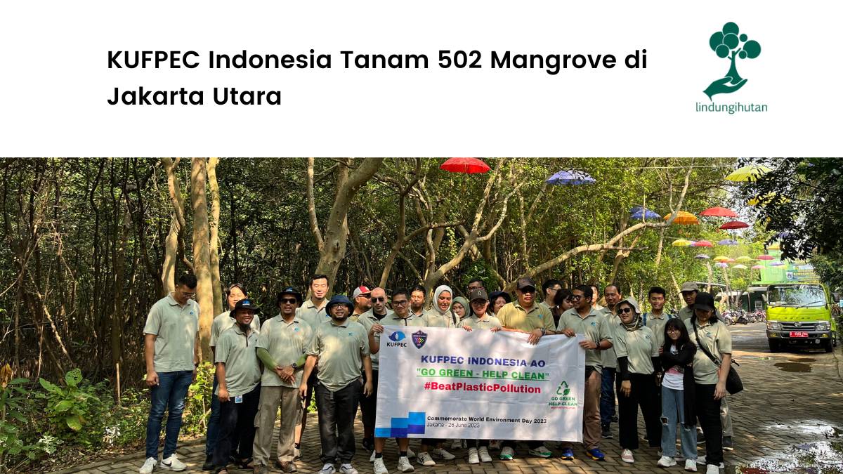 KUFPEC Indonesia Tanam 502 Mangrove di Jakarta Utara