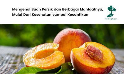 Manfaat buah persik