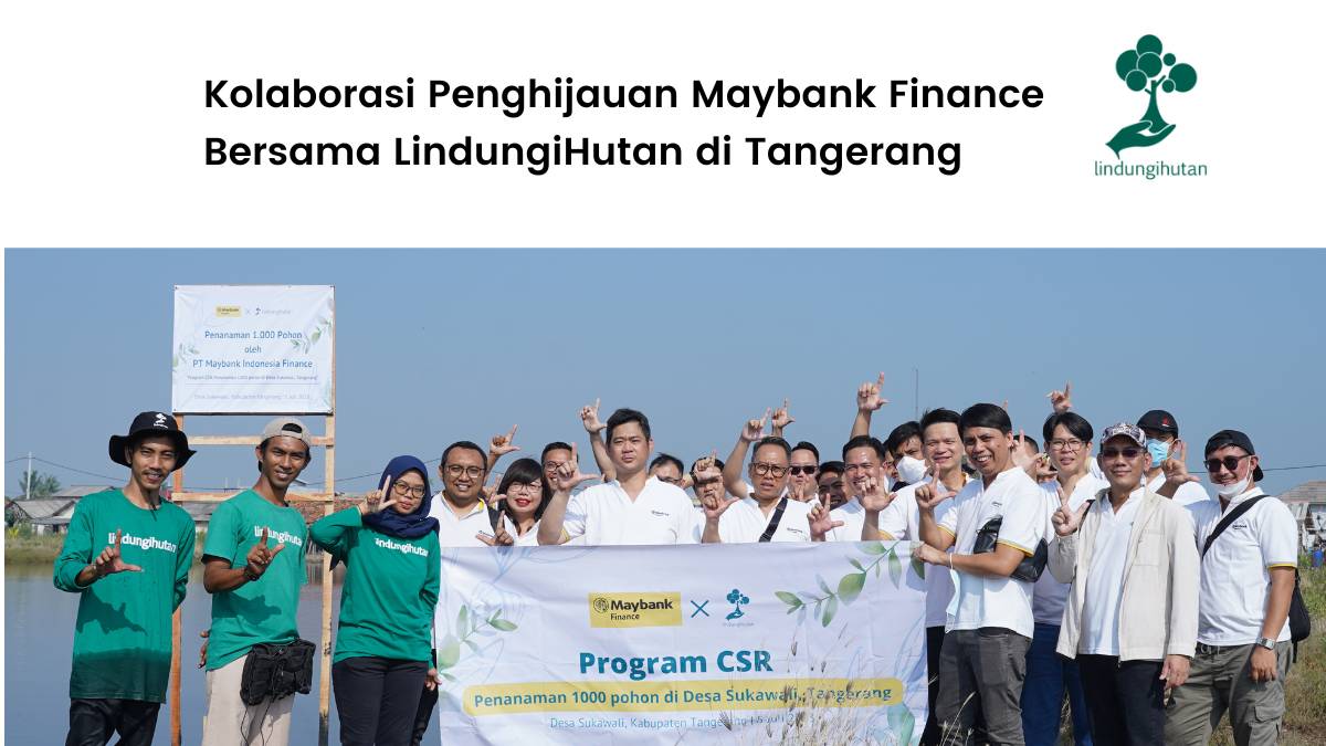 Maybank Finance Tanam 1000 Mangrove di Tangerang