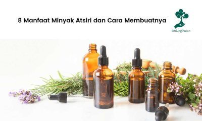 Manfaat minyak atsiri