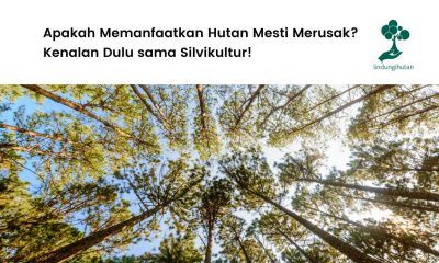 Pengertian silvikultur adalah