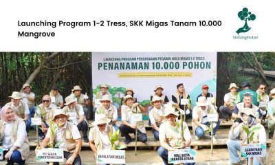 SKK Migas menanam mangrove