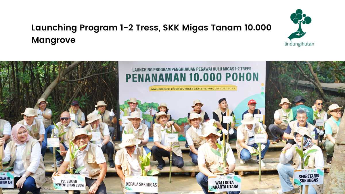 SKK Migas menanam mangrove