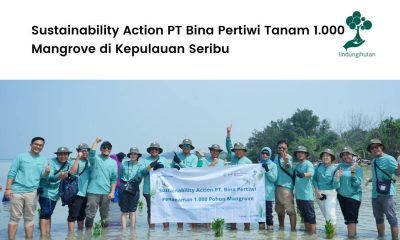PT Bina Pertiwi Tanam 1.000 Mangrove di Kepulauan Seribu