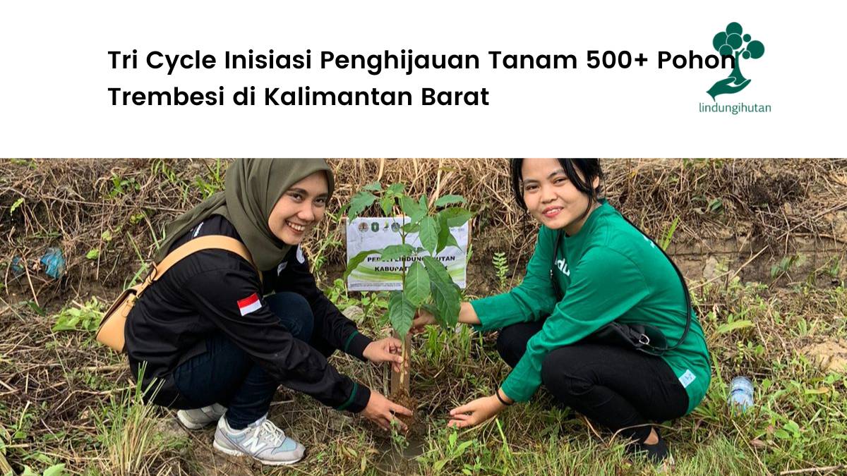 Tri Cycle Inisiasi Penghijauan di Kalimantan Barat