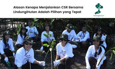 Penanaman mangrove LindungiHutan