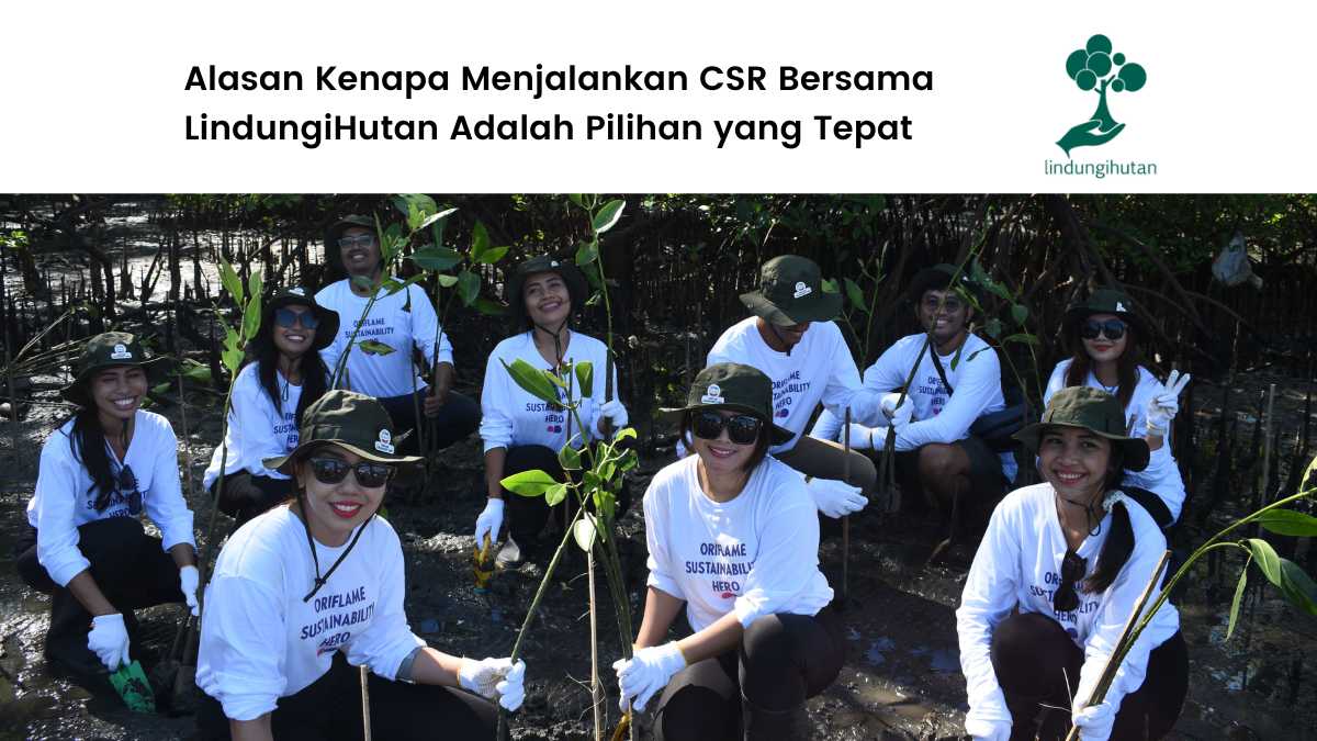 Penanaman mangrove LindungiHutan