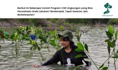 Tanggung jawab perusahaan terhadap lingkungan
