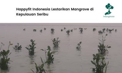 Happyfit Indonesia Tanam Mangrove di Kepulauan Seribu