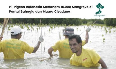 PT Pigeon Indonesia