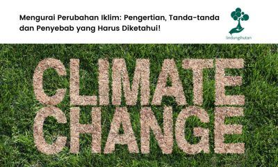 apa itu perubahan iklim