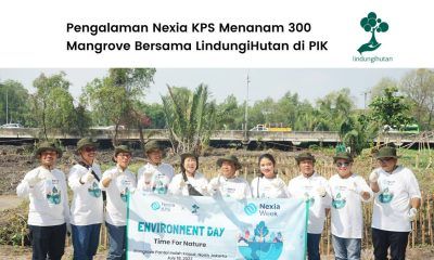 Aksi Nexia KPS Menanam Mangrove