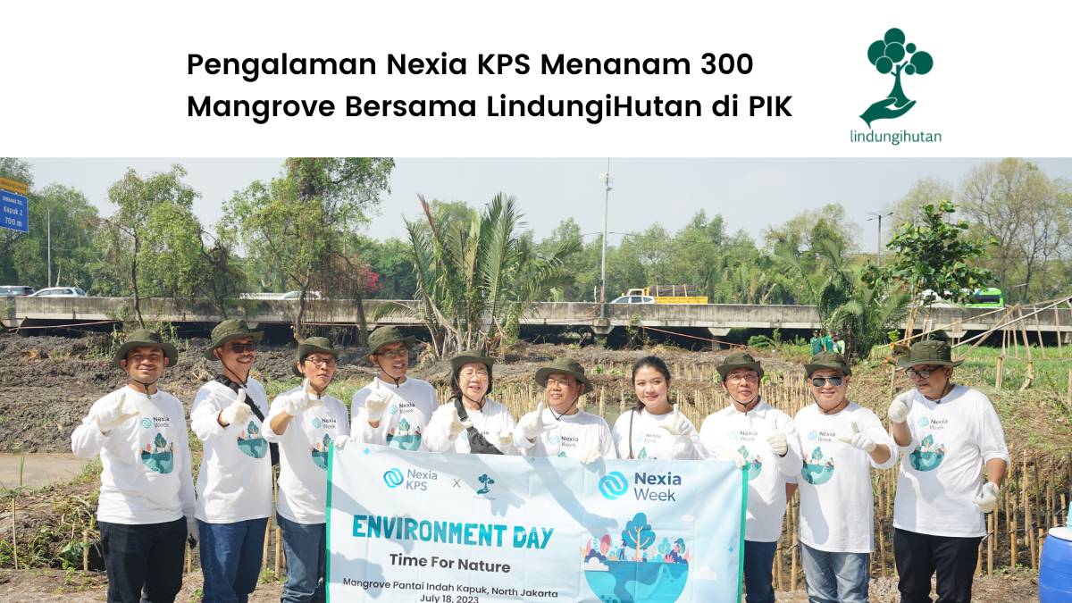 Aksi Nexia KPS Menanam Mangrove