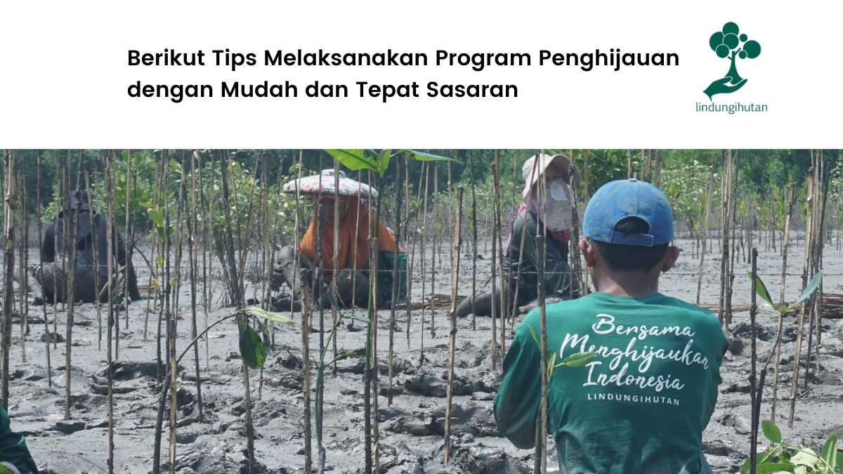 Program penghijauan