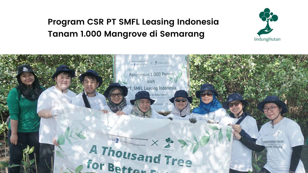 Program CSR PT SMFL Leasing Indonesia Tanam 1.000 Mangrove di Semarang