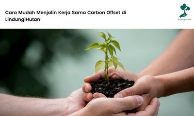 kerja sama carbon offset