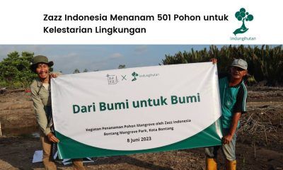 Zazz Indonesia tanam mangrove