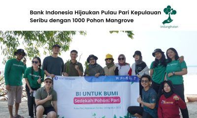 Bank Indonesia menanam ribuan mangrove