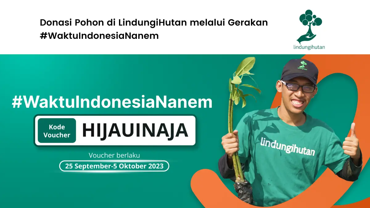 Donasi pohon di LindungiHutan