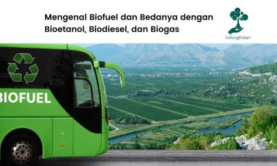 Biofuel adalah