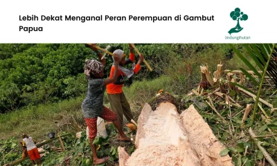 Gambar-pembuatan-tepung-sagu