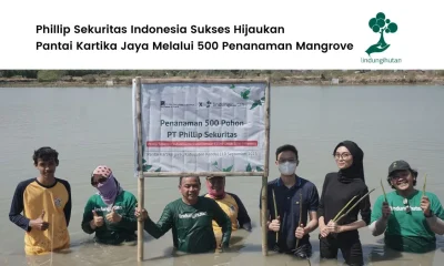 Penanaman mangrove Phillip Sekuritas