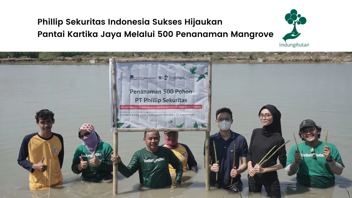 Penanaman mangrove Phillip Sekuritas