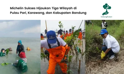Michelin-sukses-tanam-ribuan-pohon