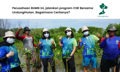 kolaborasi csr perusahaan bumn dengan lindungihutan